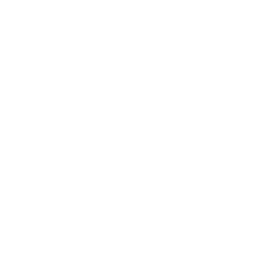 Популярные